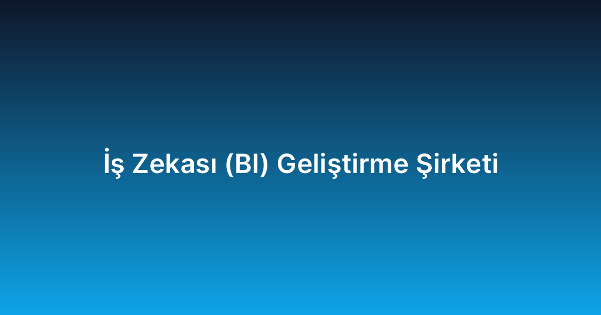 İş Zekası (BI) Geliştirme Şirketi