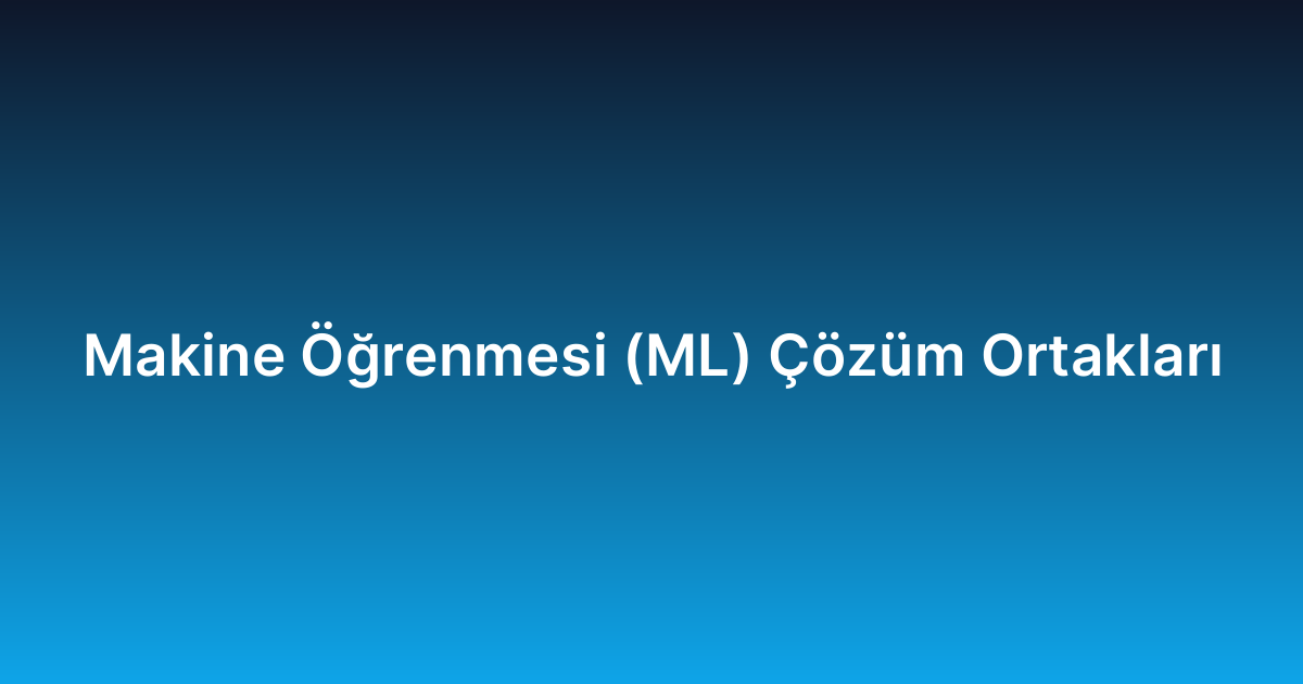 Makine Öğrenmesi (ML) Çözüm Ortakları