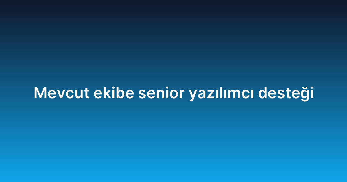 Mevcut ekibe senior yazılımcı desteği