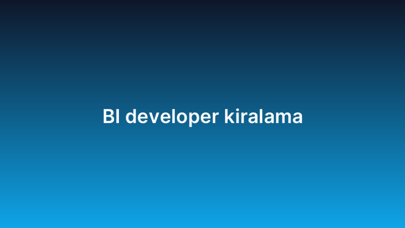 BI developer kiralama