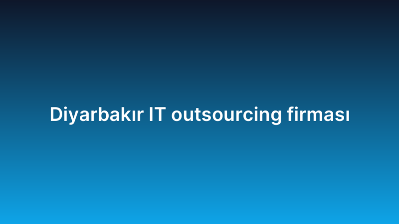 Diyarbakır IT outsourcing firması