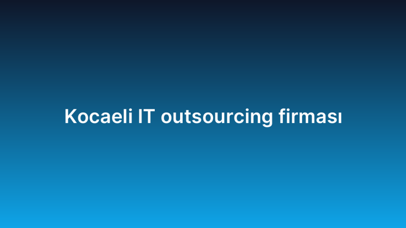 Kocaeli IT outsourcing firması