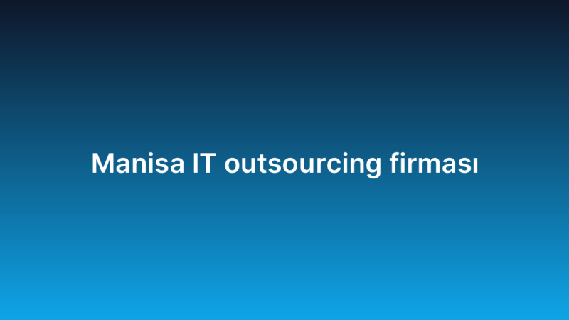 Manisa IT outsourcing firması