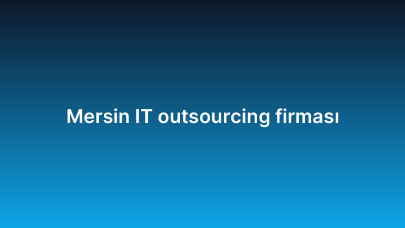 Mersin IT outsourcing firması