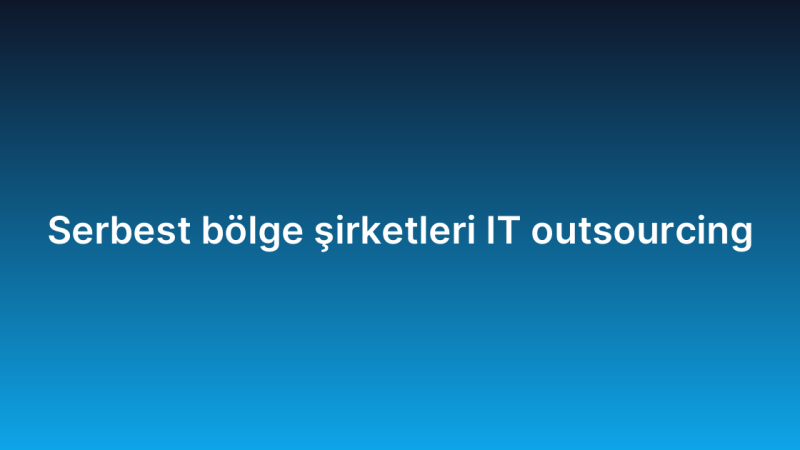 Serbest bölge şirketleri IT outsourcing