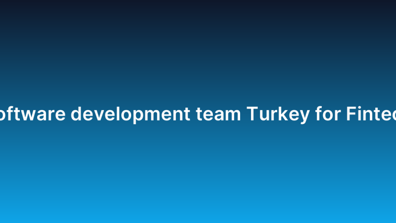 Software development team Turkey for Fintech