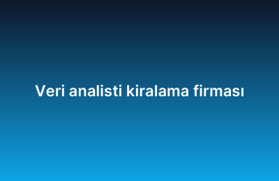 Veri analisti kiralama firması