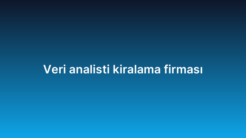 Veri analisti kiralama firması