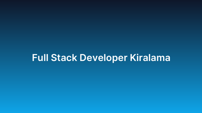 Full Stack Developer Kiralama