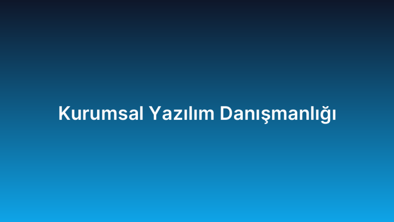 Kurumsal Yazılım Danışmanlığı