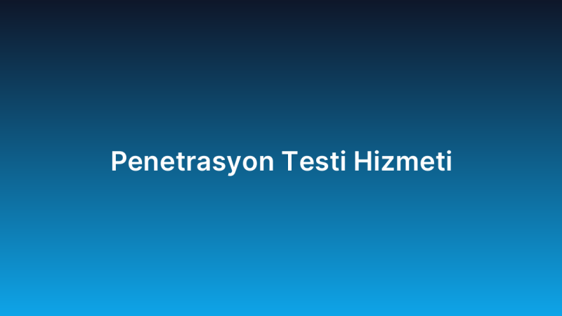 Penetrasyon Testi Hizmeti