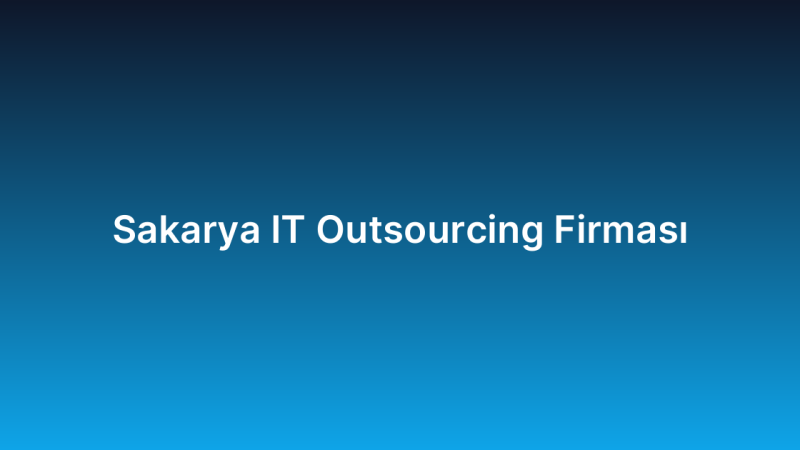 Sakarya IT Outsourcing Firması