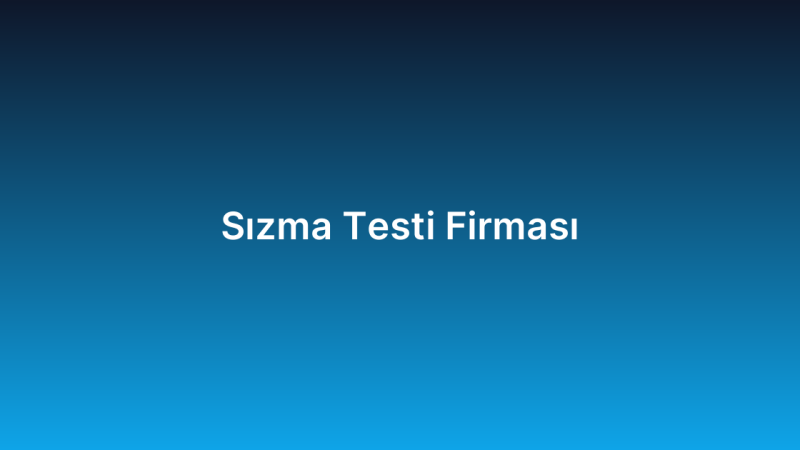 Sızma Testi Firması