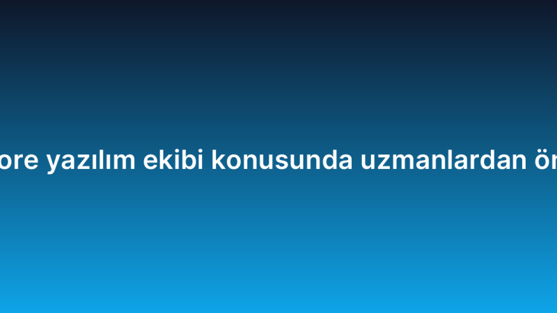 Offshore yazılım ekibi konusunda uzmanlardan öneriler
